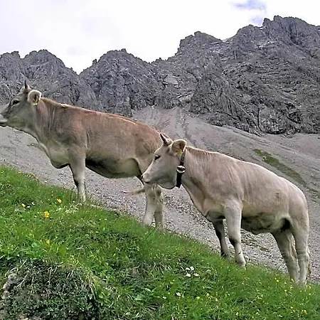 Hotel Naturhotel Laerchenhof Mittelberg
