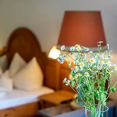Naturhotel Laerchenhof Hotel Mittelberg