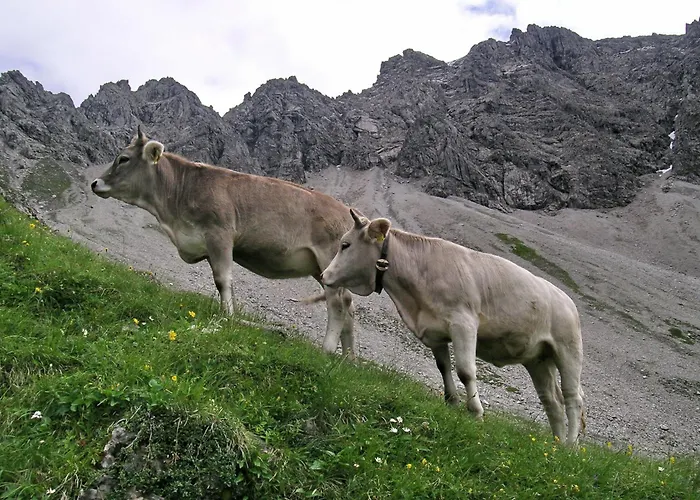 Naturhotel Lärchenhof